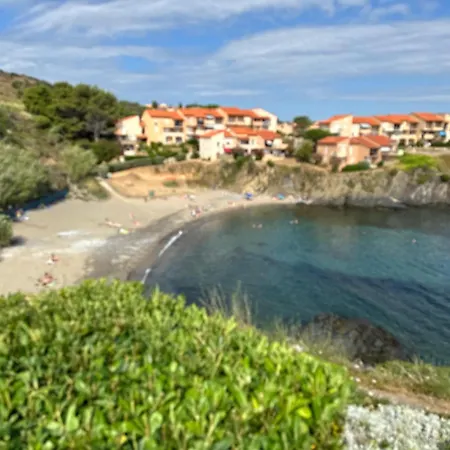 Daire T2 A Port-vendres, Acces Direct Plage, Parking Prive - Fr-1-309-430 Port Vendres