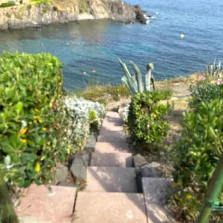 Daire T2 A Port-vendres, Acces Direct Plage, Parking Prive - Fr-1-309-430
