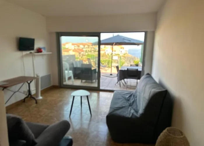 T2 A Port-vendres, Acces Direct Plage, Parking Prive - Fr-1-309-430 Daire *