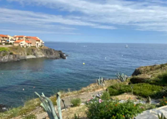T2 A Port-vendres, Acces Direct Plage, Parking Prive - Fr-1-309-430 Port Vendres