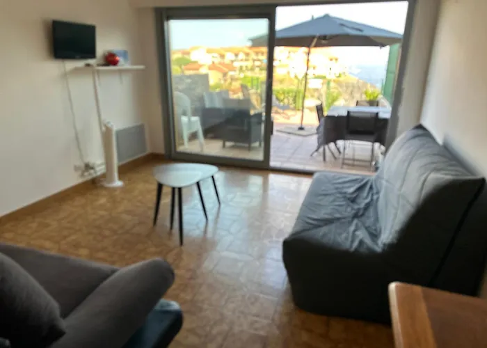 T2 A Port-vendres, Acces Direct Plage, Parking Prive - Fr-1-309-430 Daire Port Vendres