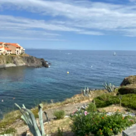 T2 A Port-vendres, Acces Direct Plage, Parking Prive - Fr-1-309-430 Port Vendres