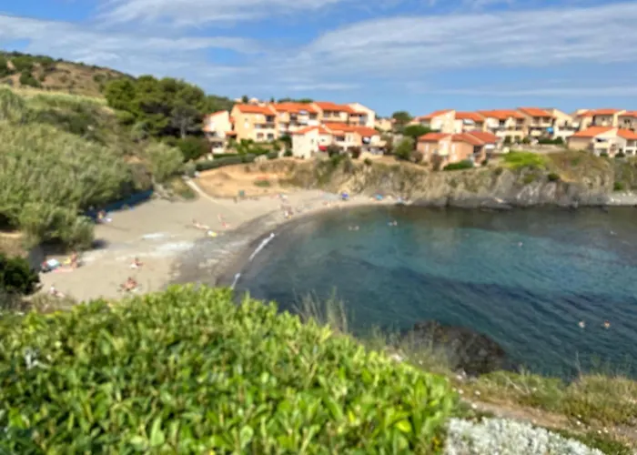 Apartmán T2 A Port-vendres, Acces Direct Plage, Parking Prive - Fr-1-309-430 Port Vendres