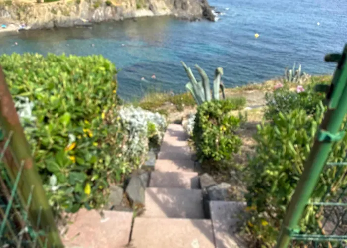 Apartmán T2 A Port-vendres, Acces Direct Plage, Parking Prive - Fr-1-309-430